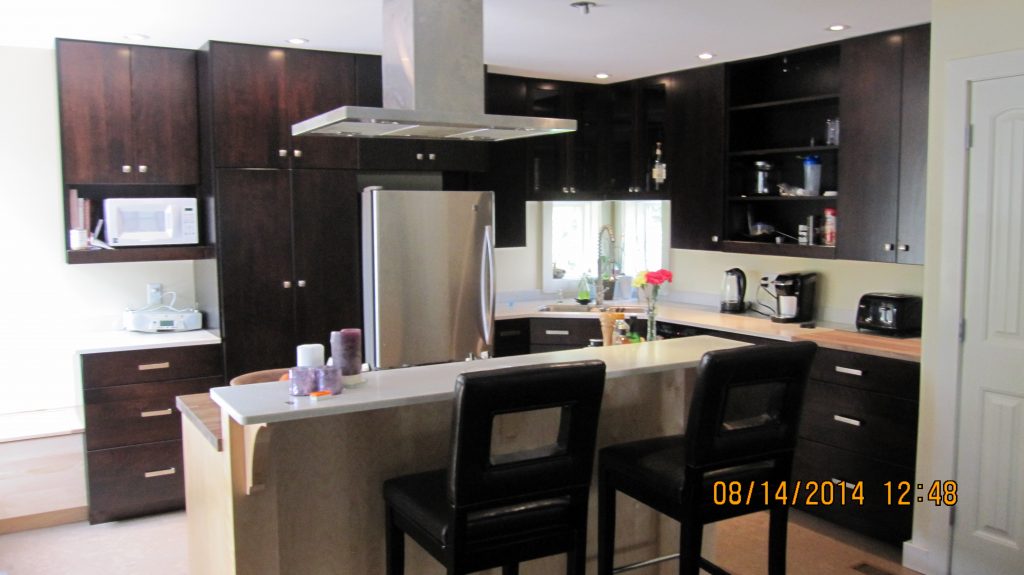 Modern stained kitchen